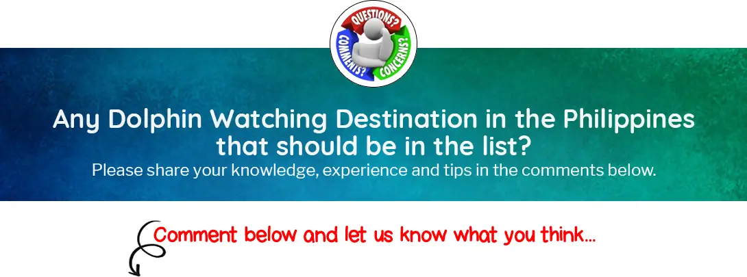 Any Dolphin Watching Destination in the Philippines that should be in the list?