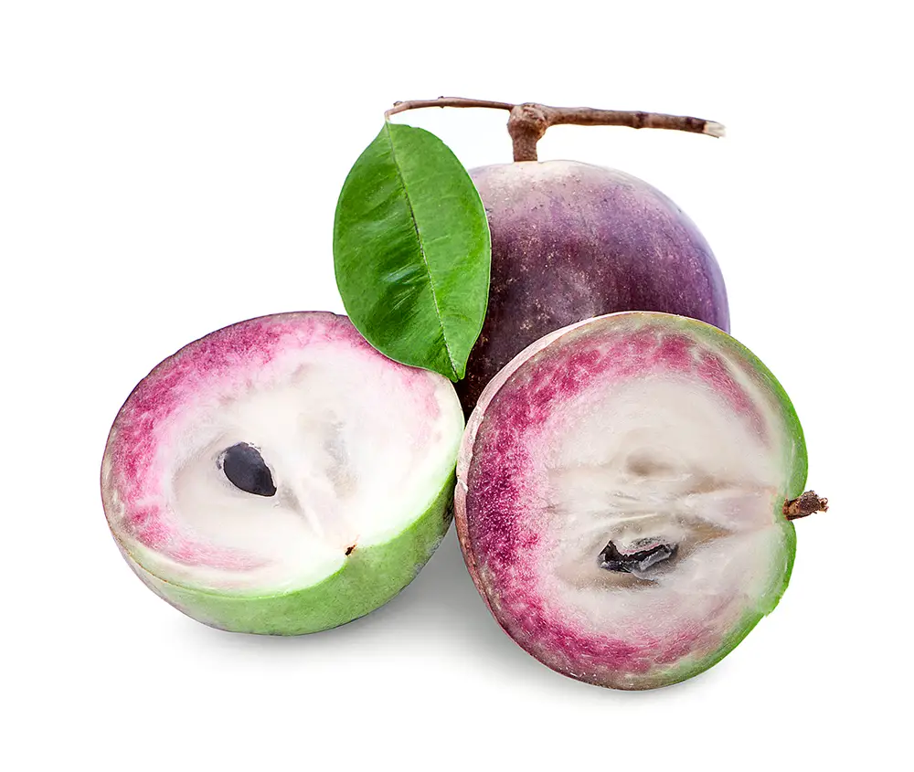Star Apple or Kaimito