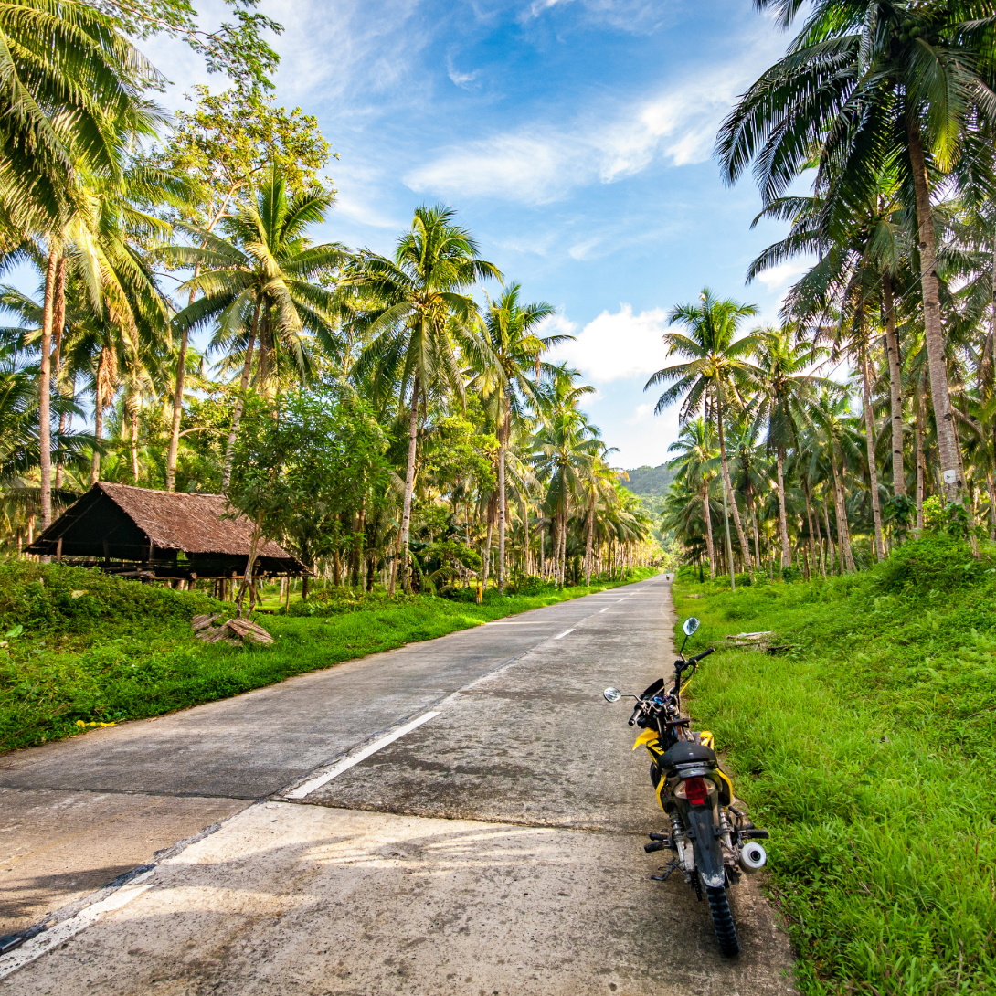 Siargao's natural beauty.