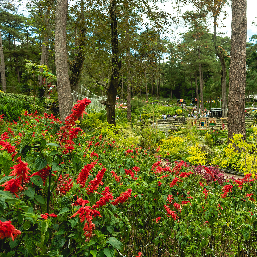 Baguio Botanical Garden