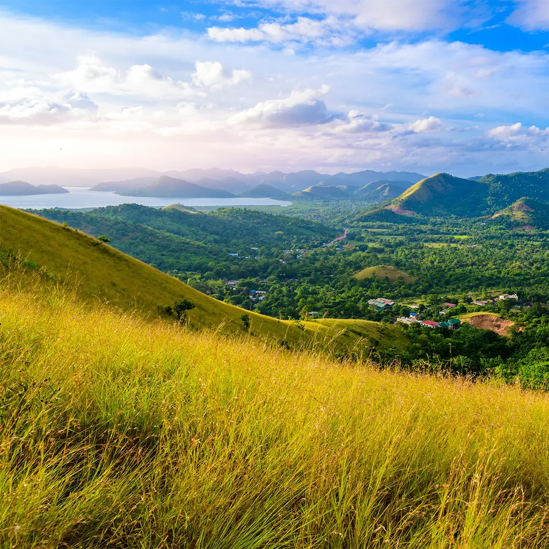 A view from Mount Tapyas