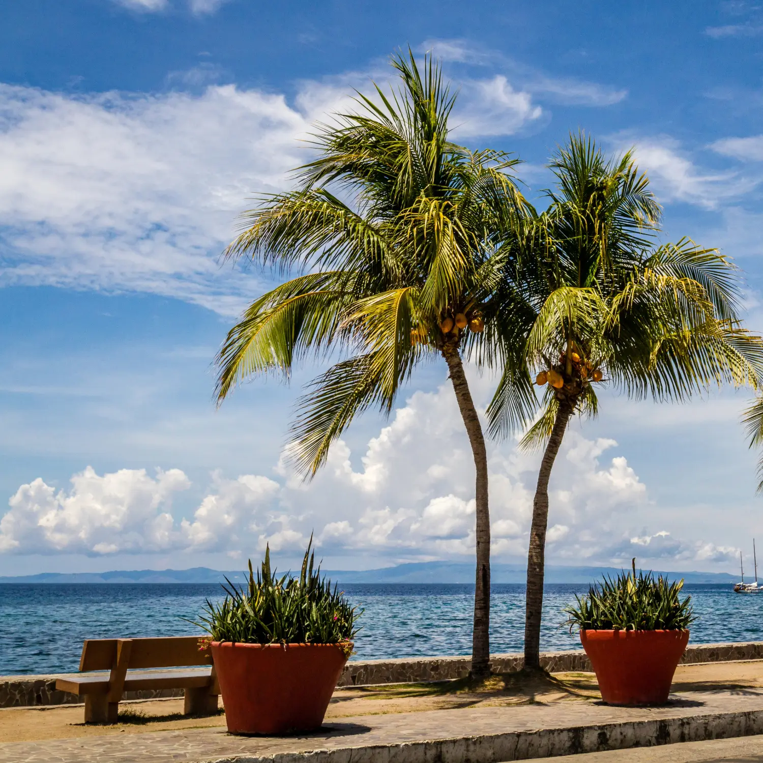 View in the boulevard, Dumaguete City